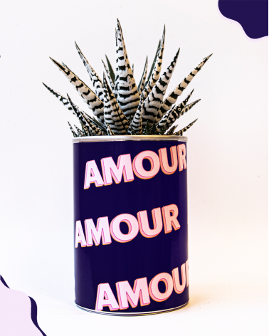 AMOUR AMOUR - Cactus