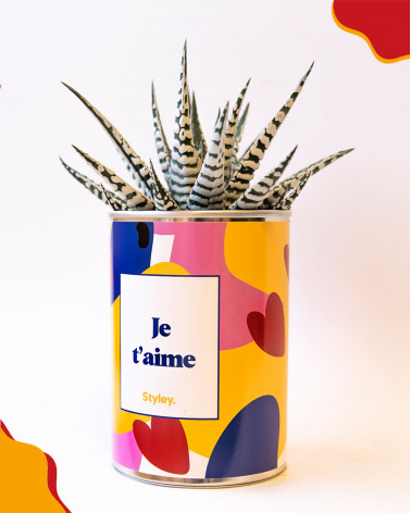 Je t'aime - Cactus