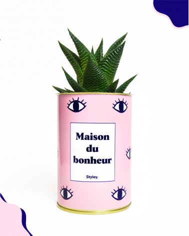 Maison du bonheur - Cactus