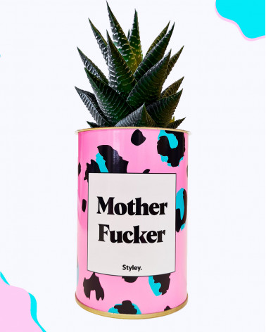 Mother Fucker - Cactus