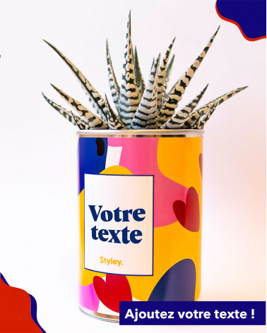 Cactus je t'aime -...