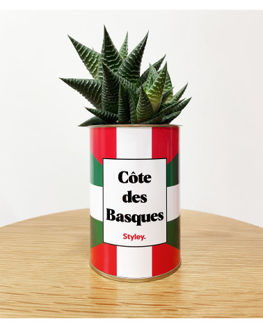 Côte des Basques - Cactus