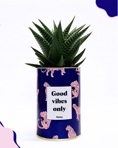 Good Vibes Only - Cactus