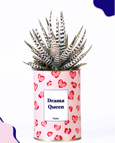 Drama Queen - Cactus