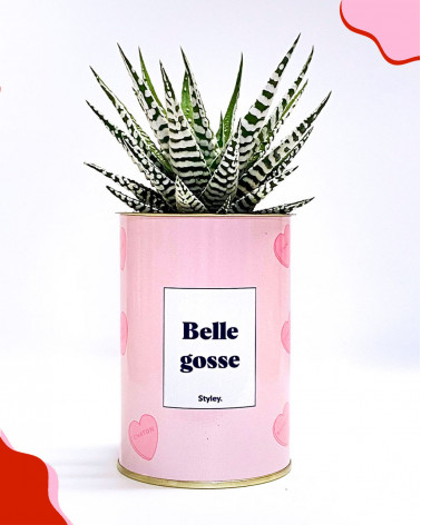 Belle gosse - Cactus