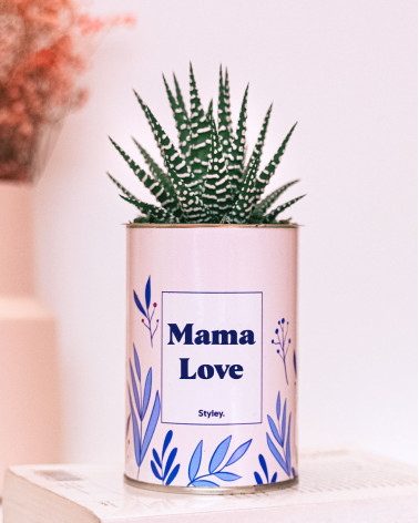 Mama Love - Cactus