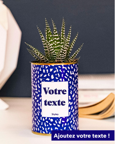 Cactus moucheté -...