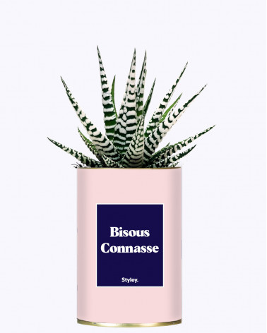 Bisous Connasse - Cactus