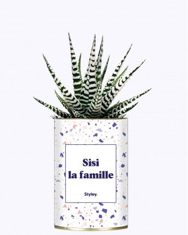 Sisi la famille - Cactus