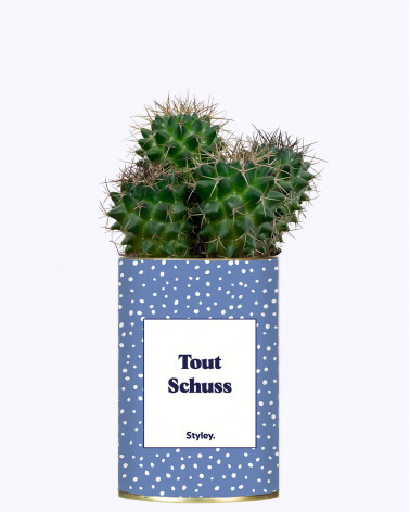 Tout Schuss - Cactus