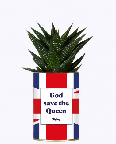 God save the queen - Cactus