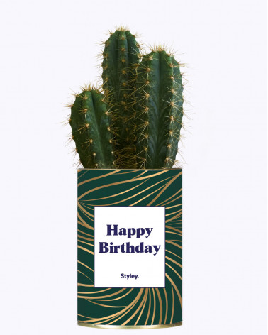 Happy Birthday - Cactus