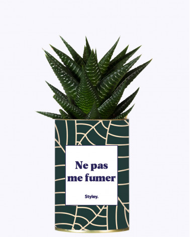 Ne pas me fumer - Cactus