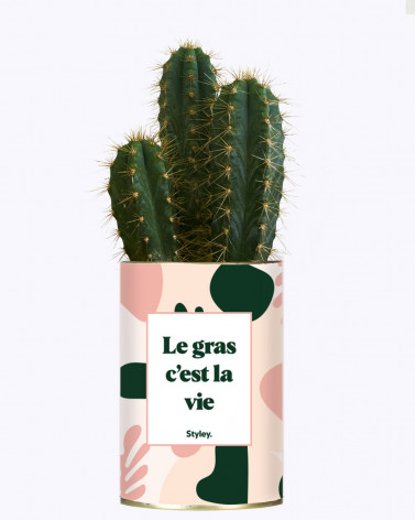 Le gras c'est la vie - Cactus