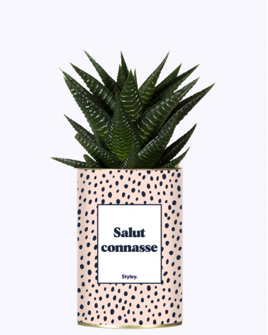 Salut Connasse - Plante grasse