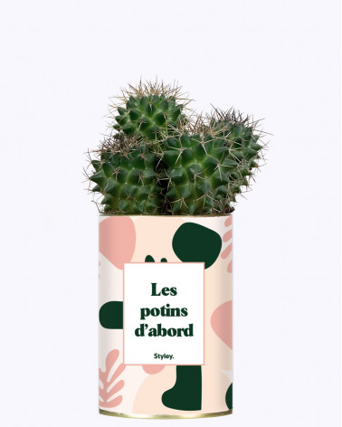 Les potins d'abord - cactus