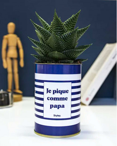 Je pique comme papa - Cactus