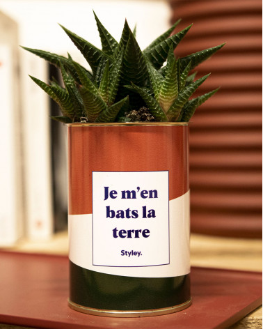 Je m'en bats la terre - Cactus