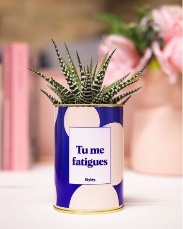 Tu me fatigues - Cactus