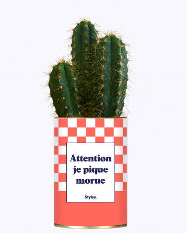 Attention je pique morue -...