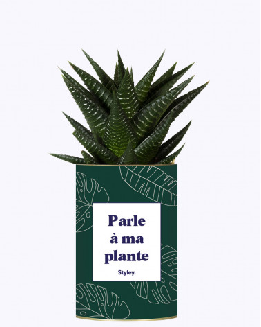 Parle à ma plante - Cactus