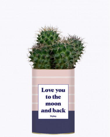 Love you to the moon and...