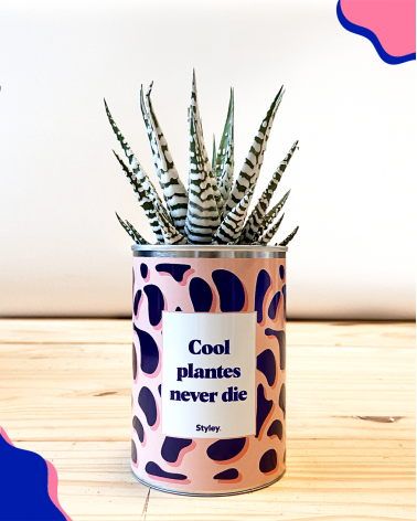 Cool plantes never die -...